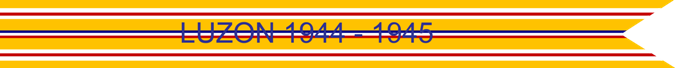 LUZON 1944-1945 US AIR FORCE CAMPAIGN STREAMER